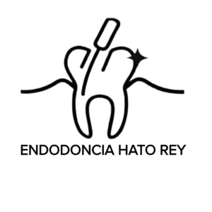 Endoconcia Hato Rey